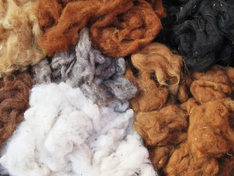 Natural Dyed Wool  